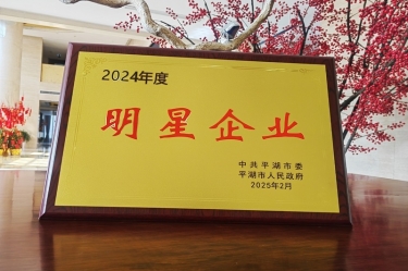 新春新景新氣象 | 景興紙業(yè)在平湖三干大會(huì)上喜摘榮譽(yù)！